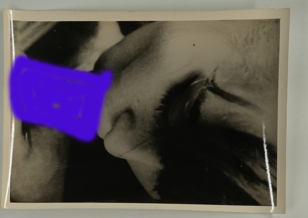 Photo Argentique scène de sexe 8X12cm 1960 érotica Noir et blanc très bon état