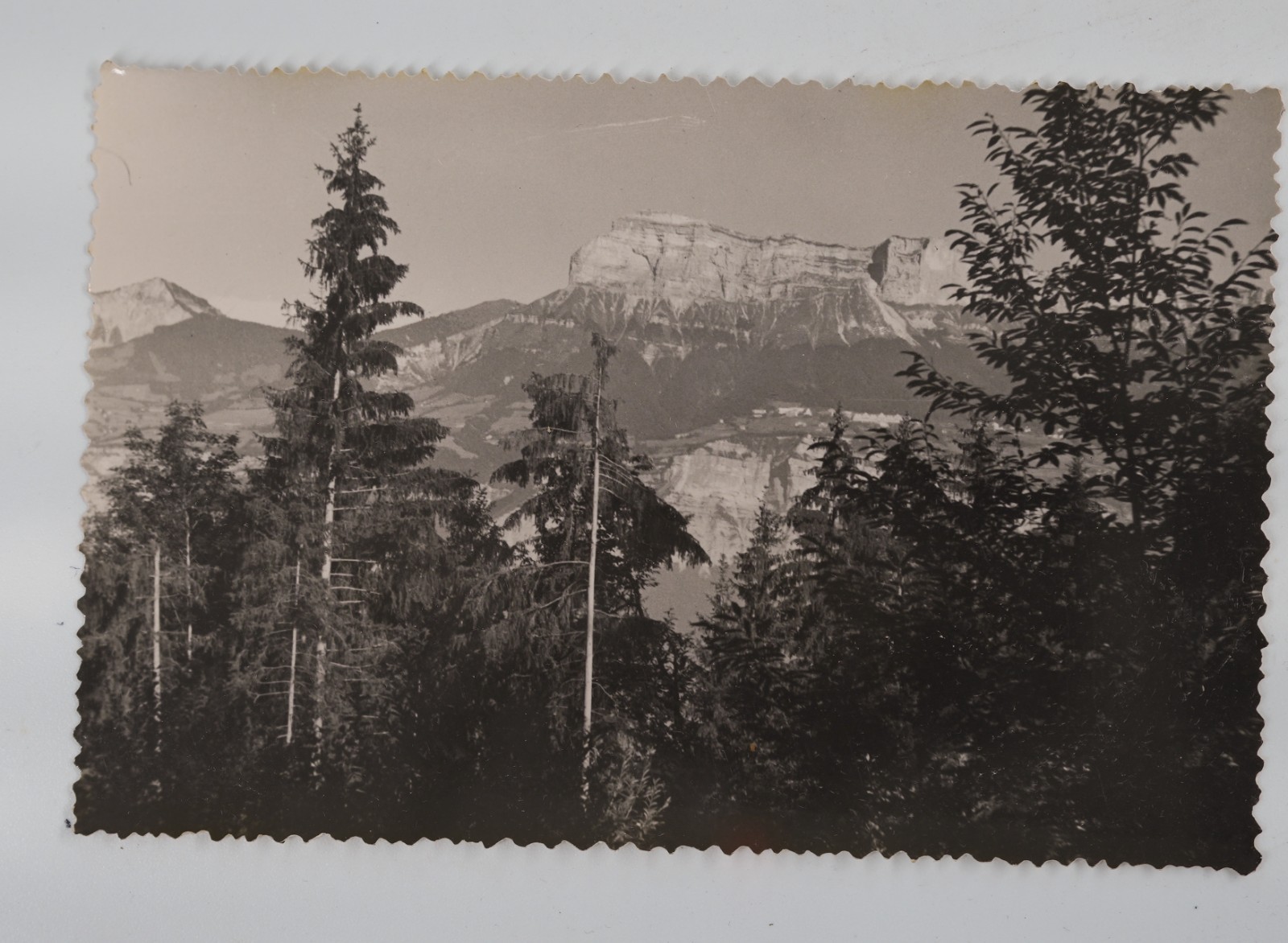 TIRAGE PHOTO Argentique France Montagne Alpes 10x15cm 1940