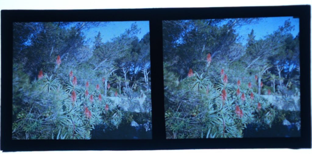 Autochrome France Stéréo paysage de montagne en France 6X13cm 1920