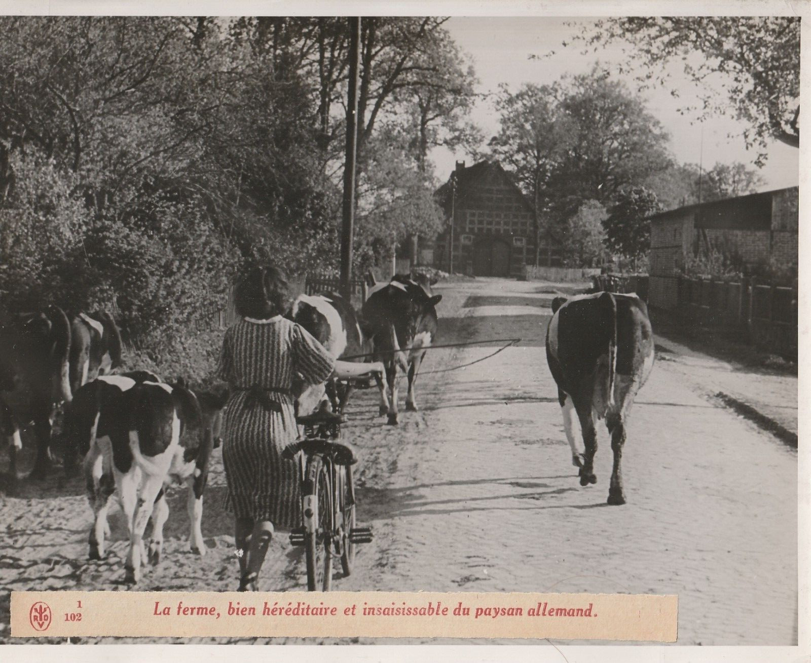 TIRAGE PHOTO argentique Bilderdienst 1940 PHOTO DE PRESSE 18X24 Allemagne