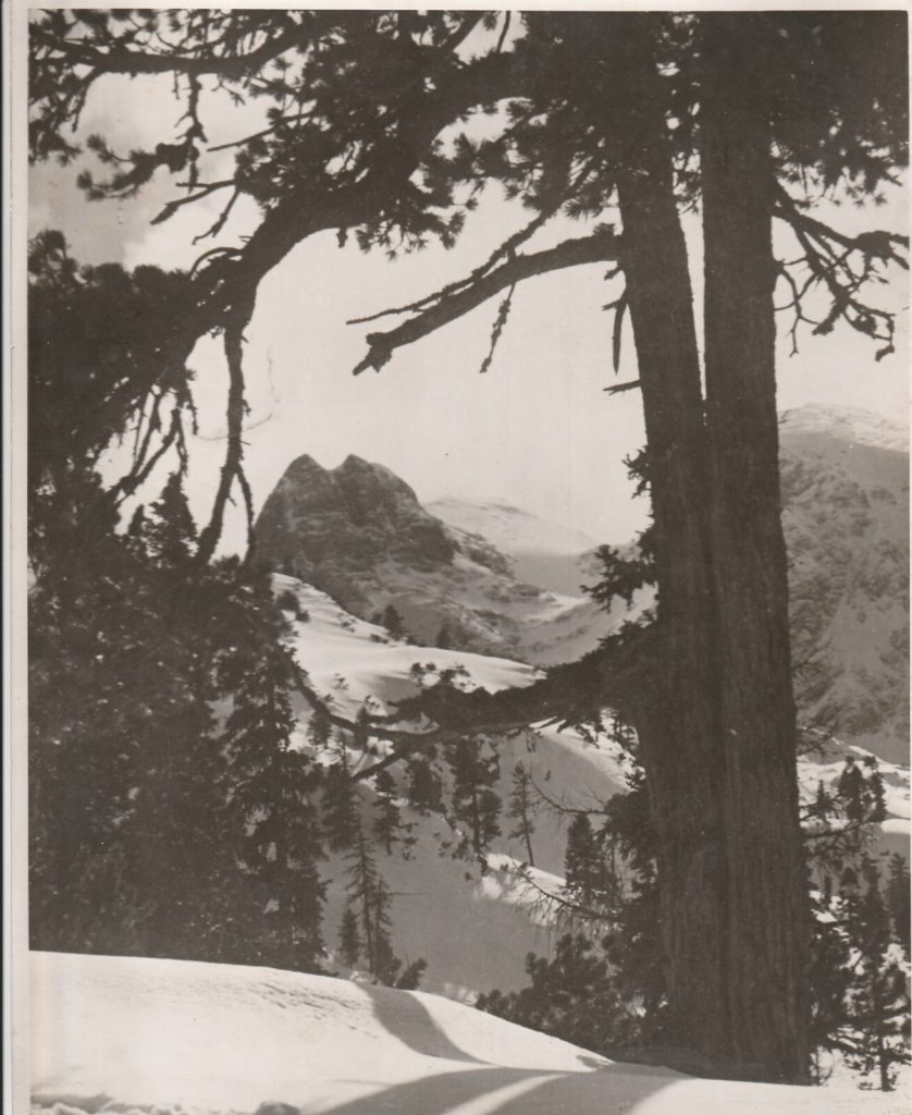 TIRAGE PHOTO argentique Baryté Scherl Bilderdienst 1940 PHOTO DE PRESSE 18x24cm