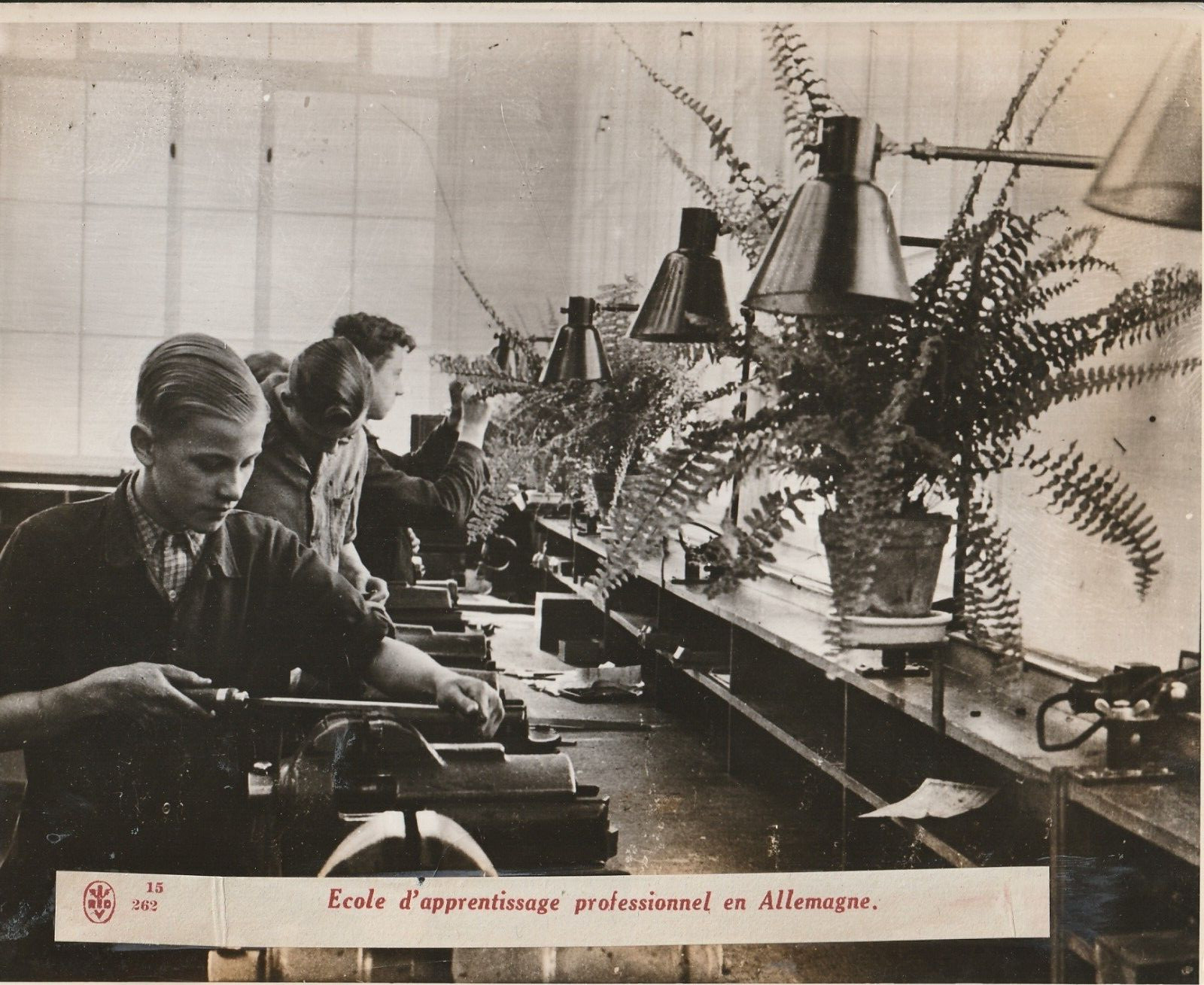 TIRAGE PHOTO argentique Bilderdienst 1940 PHOTO DE PRESSE 18X24 Allemagne