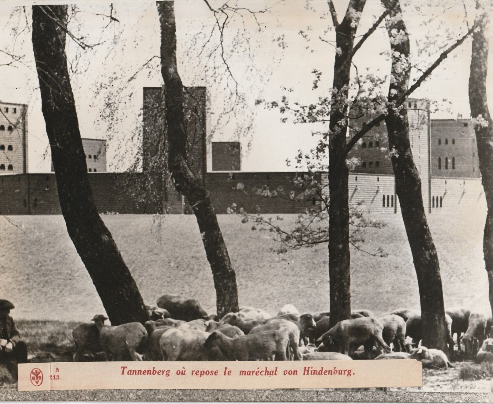TIRAGE PHOTO argentique Bilderdienst 1940 PHOTO DE PRESSE 18X24 Allemagne