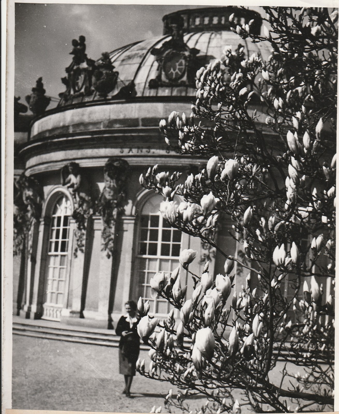 TIRAGE PHOTO argentique Bilderdienst 1940 PHOTO DE PRESSE 18X24 Allemagne