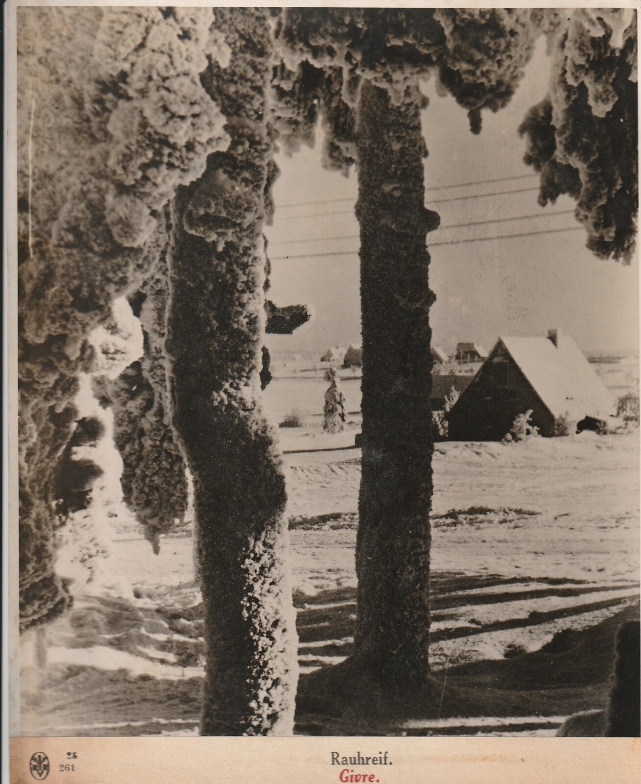 TIRAGE PHOTO argentique Baryté Scherl Bilderdienst 1940 PHOTO DE PRESSE 18x24cm