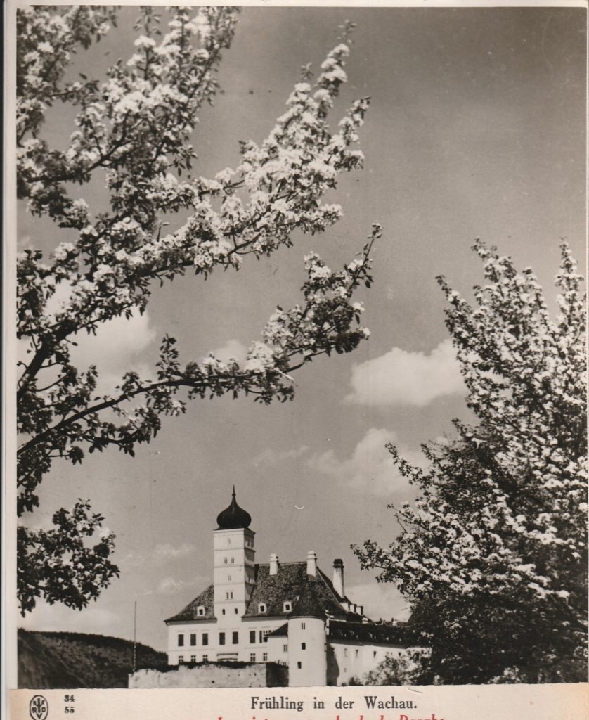 TIRAGE PHOTO argentique Baryté Scherl Bilderdienst 1940 PHOTO DE PRESSE 18x24cm